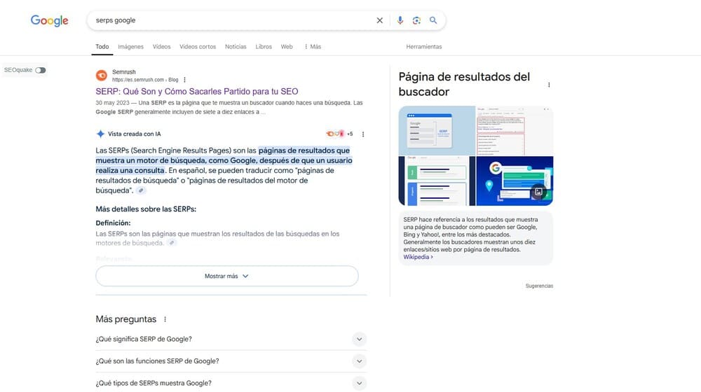 Serps Google